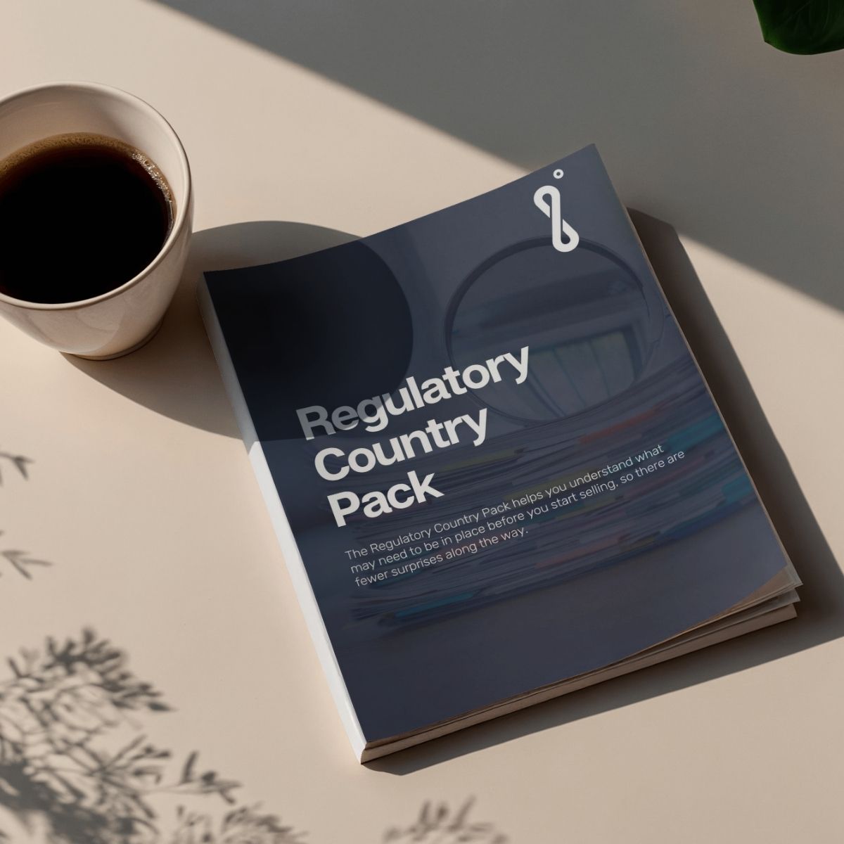 Infinity Market Identifier Regulatory Country Pack digital report. Compliance and import requirements by Infinity Blue Group