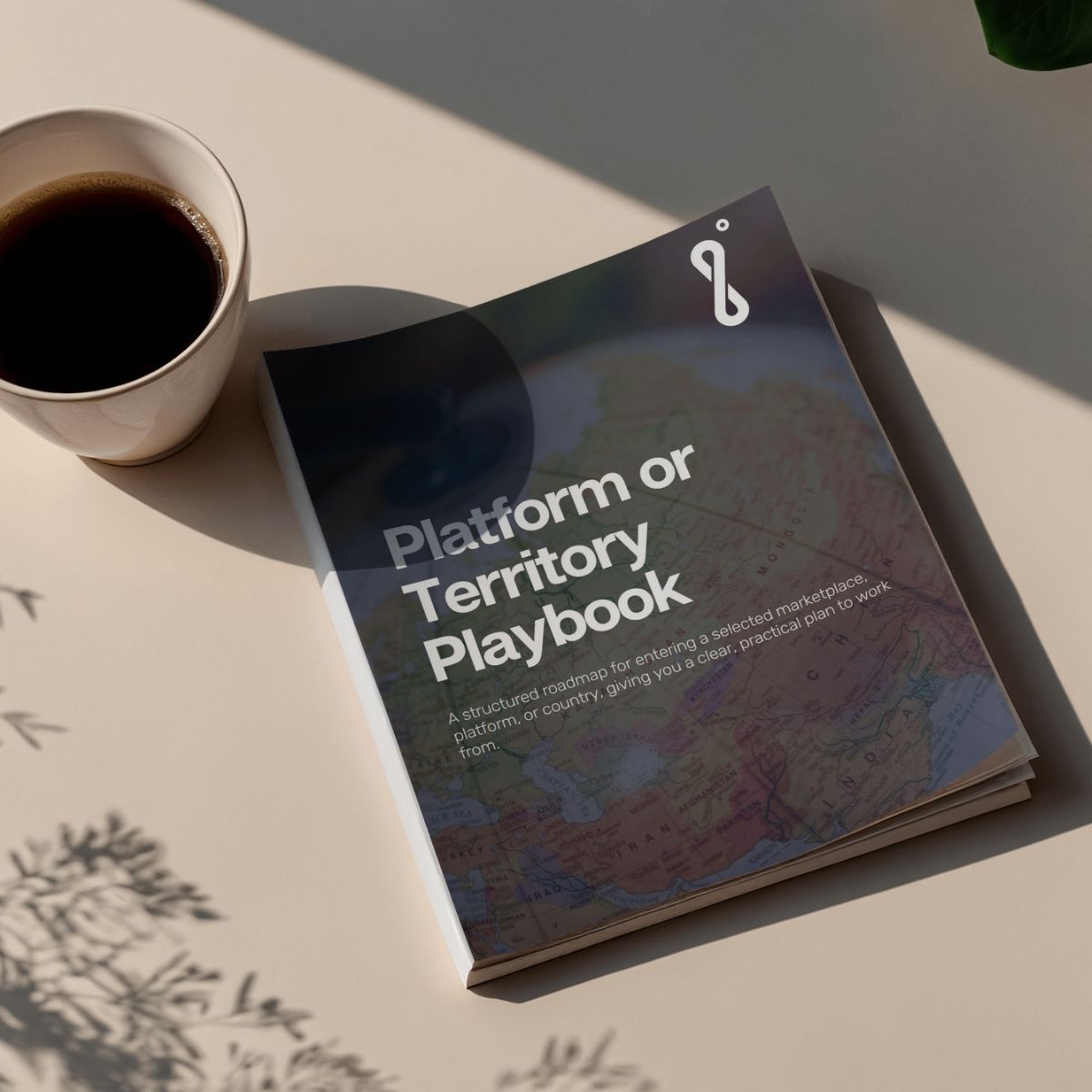 Infinity Market Identifier Platform Territory Playbook digital report. Market entry strategy by Infinity Blue Group